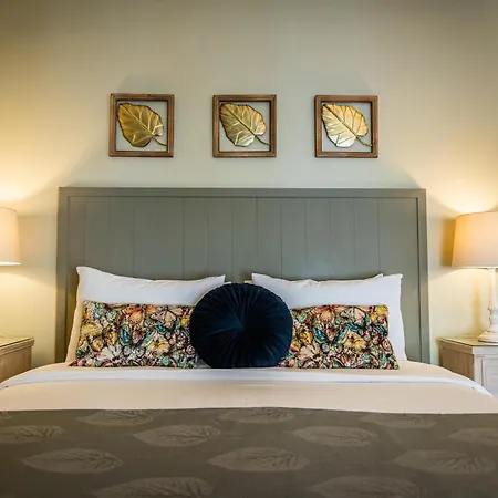 Maron ιι με τζάκι * Kalavryta