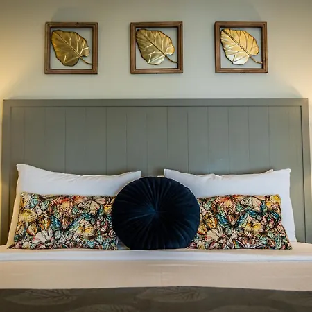 Maron ιι με τζάκι * كالافريتا